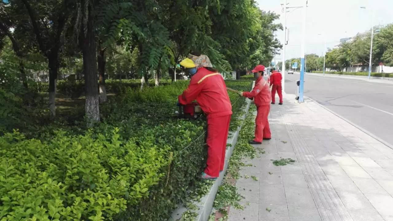 写字楼物业服务：构建高效办公生态