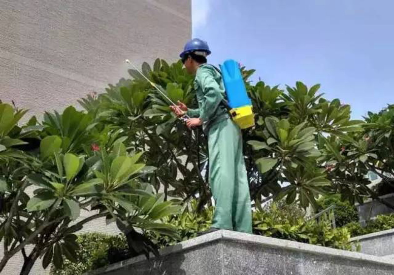 写字楼物业服务：打造高效办公空间